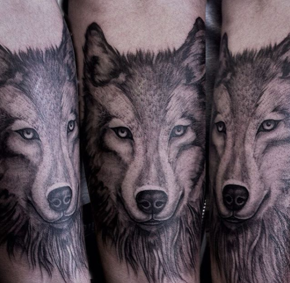 wolves animal tattoo dog canine wolf realism black and grey, animal portrait tattoo