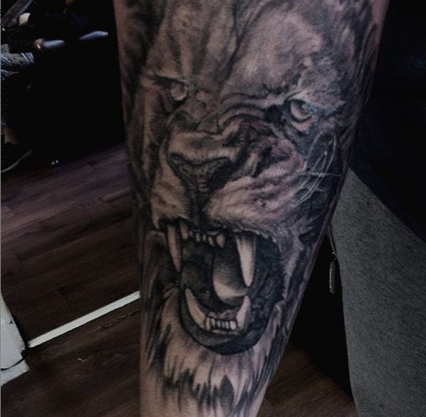 lion roaring tattoo, realism teeth lion tiger art, large lion tattoo open mouth angry