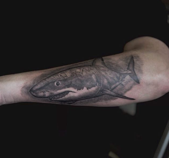 shark tattoo realism, black and grey real shark tattoo great white shark, pointer tattoo
